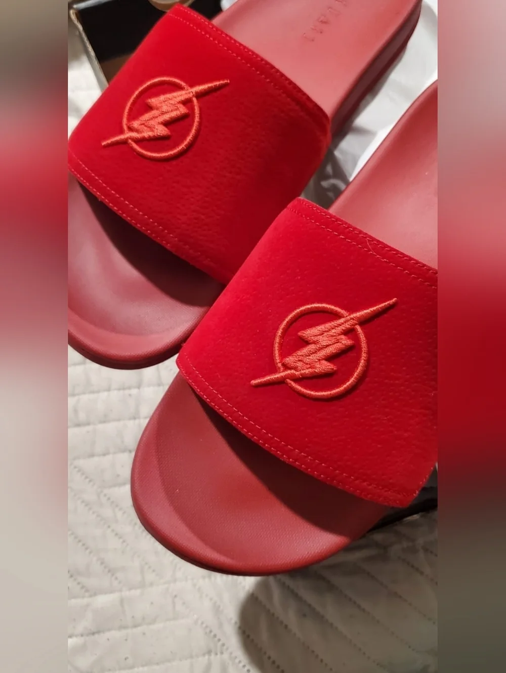 Justice League DC Flash Slides